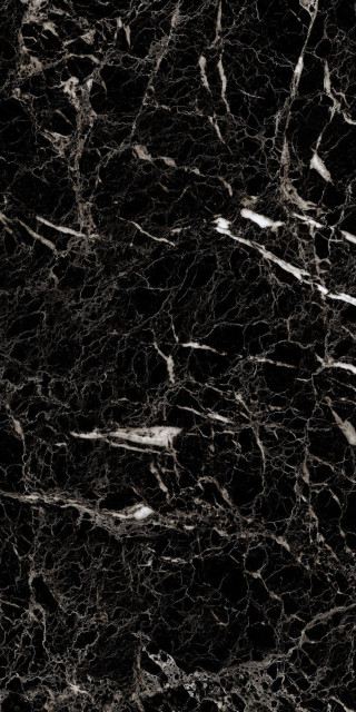 Artcer Marble Luminia Black 60x120