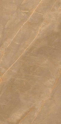 Artcer Marble Royalish Brown 9 mm 120x60