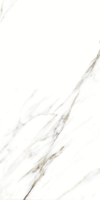 Artcer Marble Fantastic White 60x120