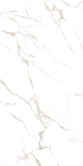 Colortile Zenith 60x120