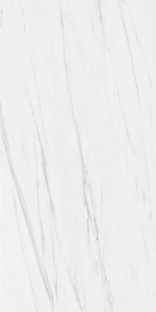 Casati Statuario Venato 60x120