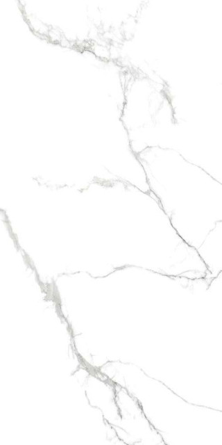 Eurotile Ind Capitol Matt 60x120