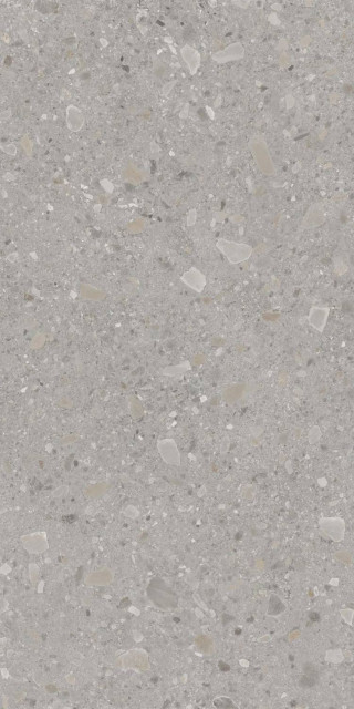 Exterior Ceramica Cheppo Di Grande Milagro 12mm 160x320H1.2
