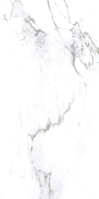 Gravita Monster White 60x120