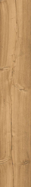 Gravita Lyptus Honey 20x120