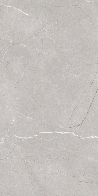 Gravita Larice Grey Carving 60x120