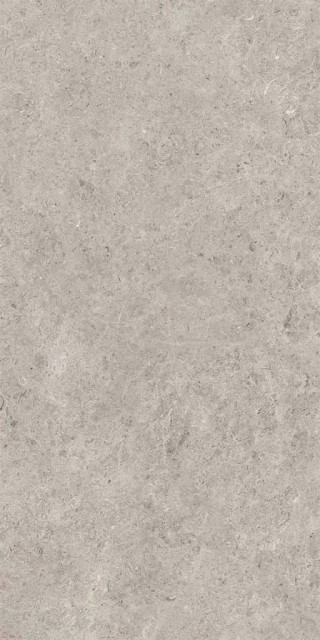 Gravita Seashell Natural R10 Carving 60x120