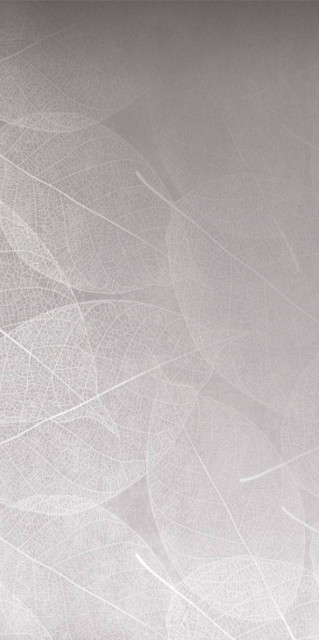 Infinity Eleganza Perla Arte Carving 60x120