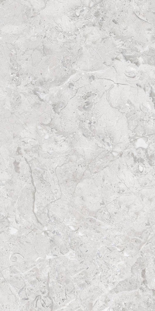 Infinity Elegance Grey Glossy Silver Line 60x120