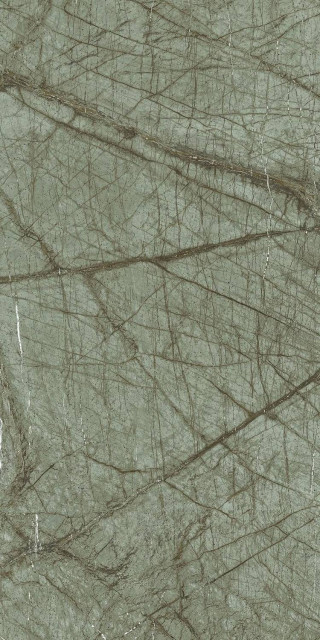 Infinity Wattle Green Drab 60x120