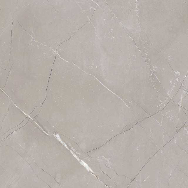 Laparet Vitrum Grigio Серый Матовый 60x60H0.8