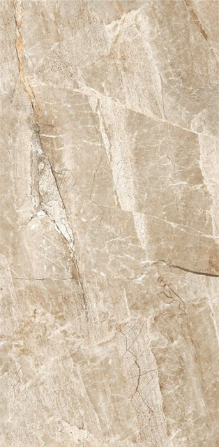 Leopard Stone Age Glossy 60x120