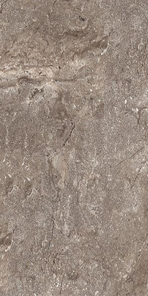Leopard Stone Grey Polished 60x120