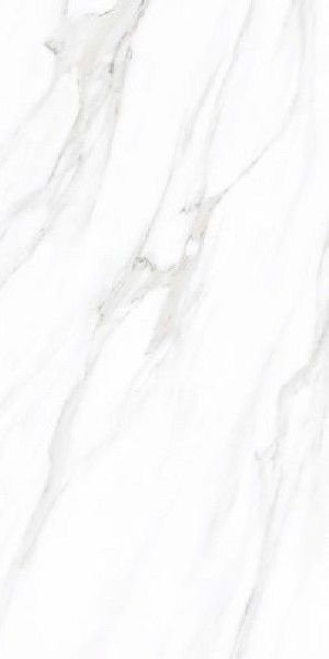 Leopard Marble Calacata Polished 60x120