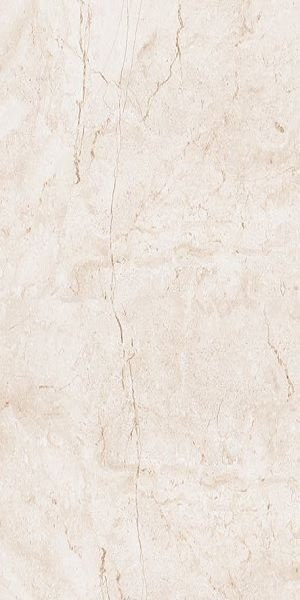 Leopard Stone Ivory Polished 60x120