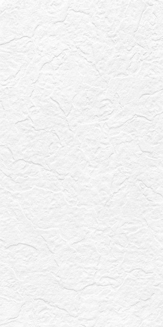 Maimoon Snow White Punch 60x120H0.9