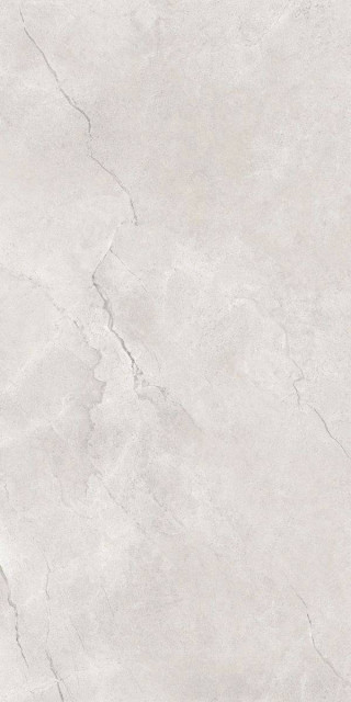 Maimoon Flority Ash 60x120H0.9