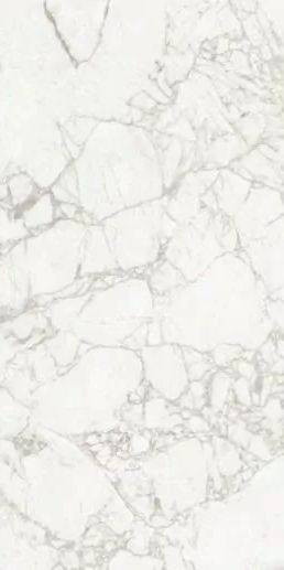 Maimoon Exotic White Carving 60x120H0.9