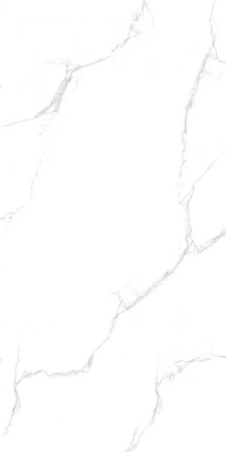 Maimoon Silver Statuario 60x120H0.9