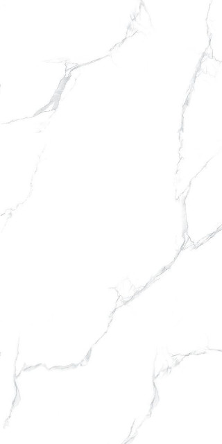Maimoon Silver Statuario Glossy 60x120