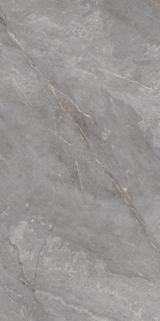 Neodom Belvedere Orobico Grey Polished 60x120