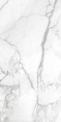 Neodom Ambassador Arabescato Polished 60x120