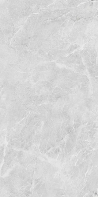 Neodom Belvedere Eva Grey Polished 60x120