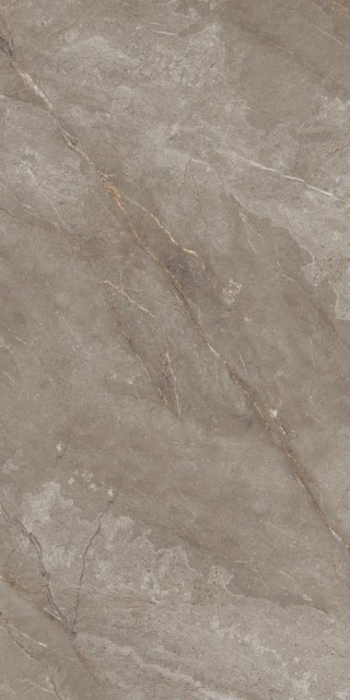 Neodom Belvedere Orobico Brown Polished 60x120