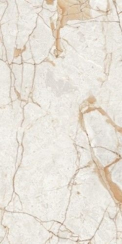 Neodom Ambassador Rosalia Polished 60x120