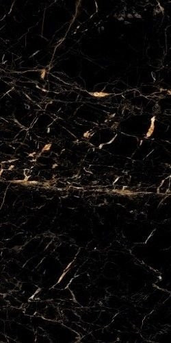 Neodom Ambassador Black Gold Polished 60x120