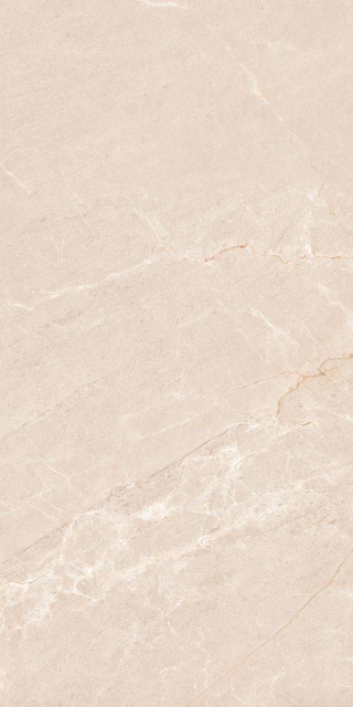 Neodom Concept Persian Beige Matt 60x120H0.9
