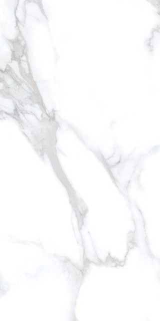 Neodom Concept Statuario Chic Matt 60x120H0.9