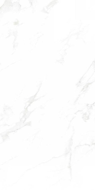 Neodom Venus Bianco Polished 60x120H0.9