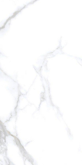 Neodom Statuario Chic Polished 60x120H0.9