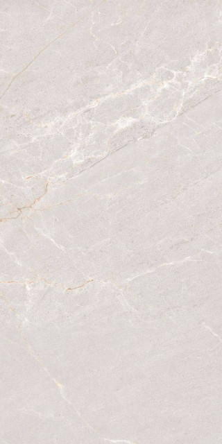 Neodom Concept Persian Grey Matt 60x120H0.9