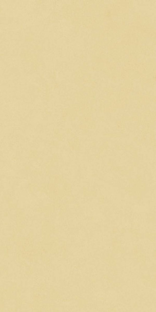 Neodom Design Colors Blossom Sun Matt 60x120H0.9
