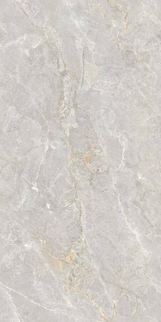Neodom Marble Soya Silver Carving 80x160H0.9