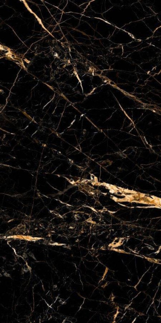 Neodom Black Gold Polished 60x120H0.9