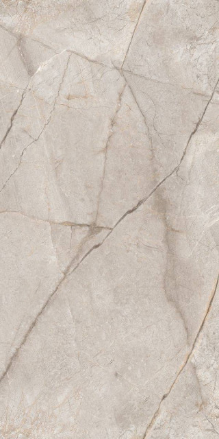 Neodom Marble Silver Stone Carving 60x120H0.9