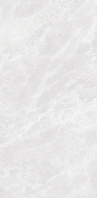 Neodom Marble Apuan Marvel Polished 60x120H0.9