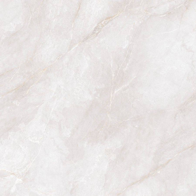 Neodom Orobico Bianco Polished 120x120H0.9