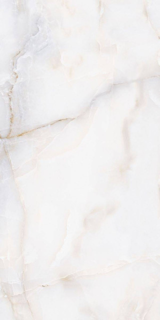 Neodom Onix White Polished 60x120H0.9