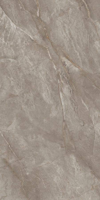 Neodom Orobico Brown Polished 80x160H0.9