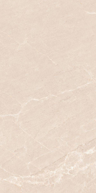 Neodom Persian Beige Matt 60x120H0.9