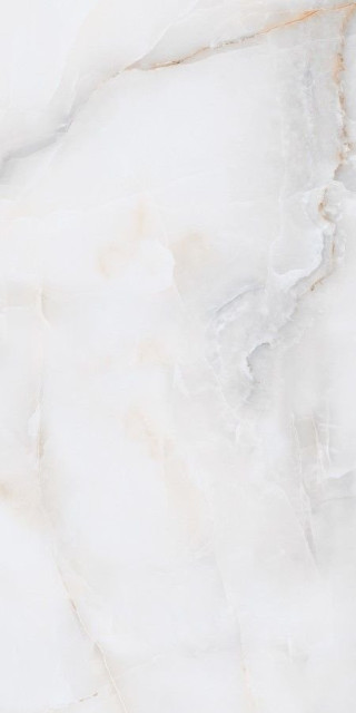 Neodom Onix Pro Bianco Polished 60x120