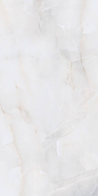 Neodom Onyx Bianco Polished 60x120H0.9