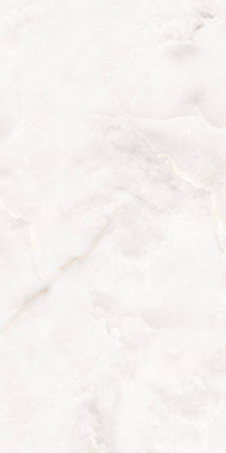 Neodom Classo Onyx Polished 60x120H0.9