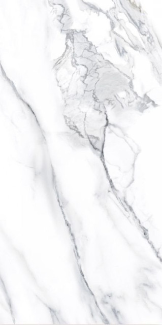 Neodom Matt Calacatta Classico Satin 60x120