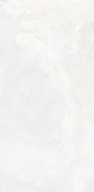 Neodom Onyx Invictus White Polished 60x120H0.9