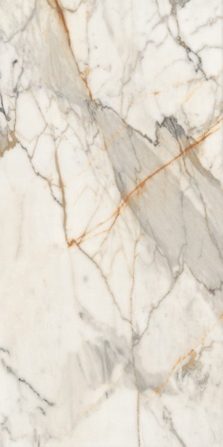 Neodom Massimo Breccia Polished 80x160
